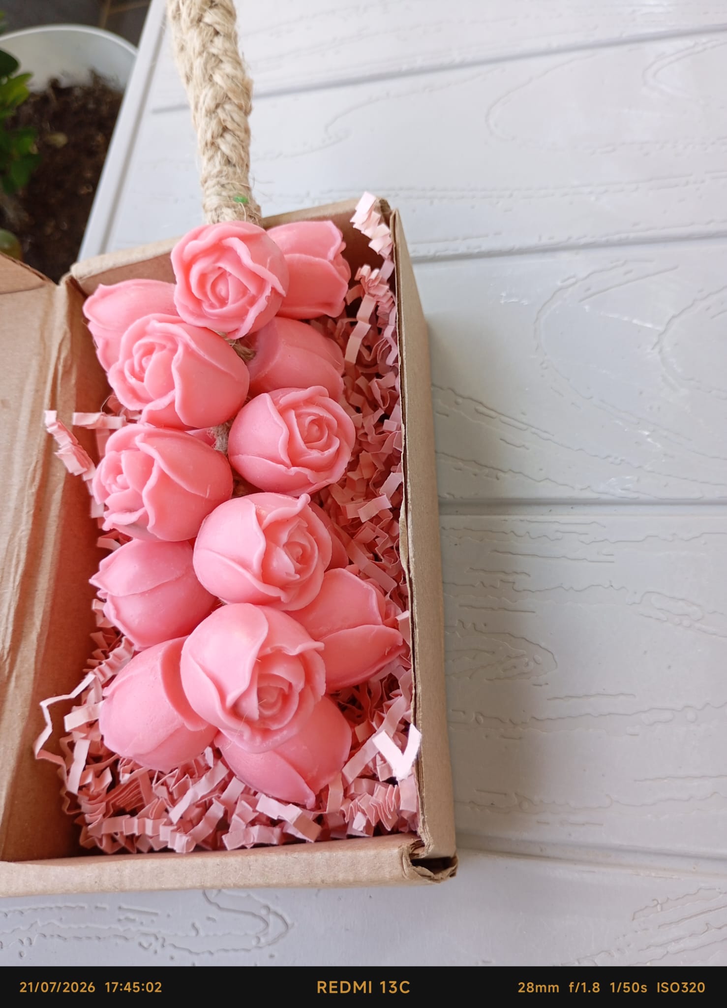 Pembe Gül Salkım Kutulu 